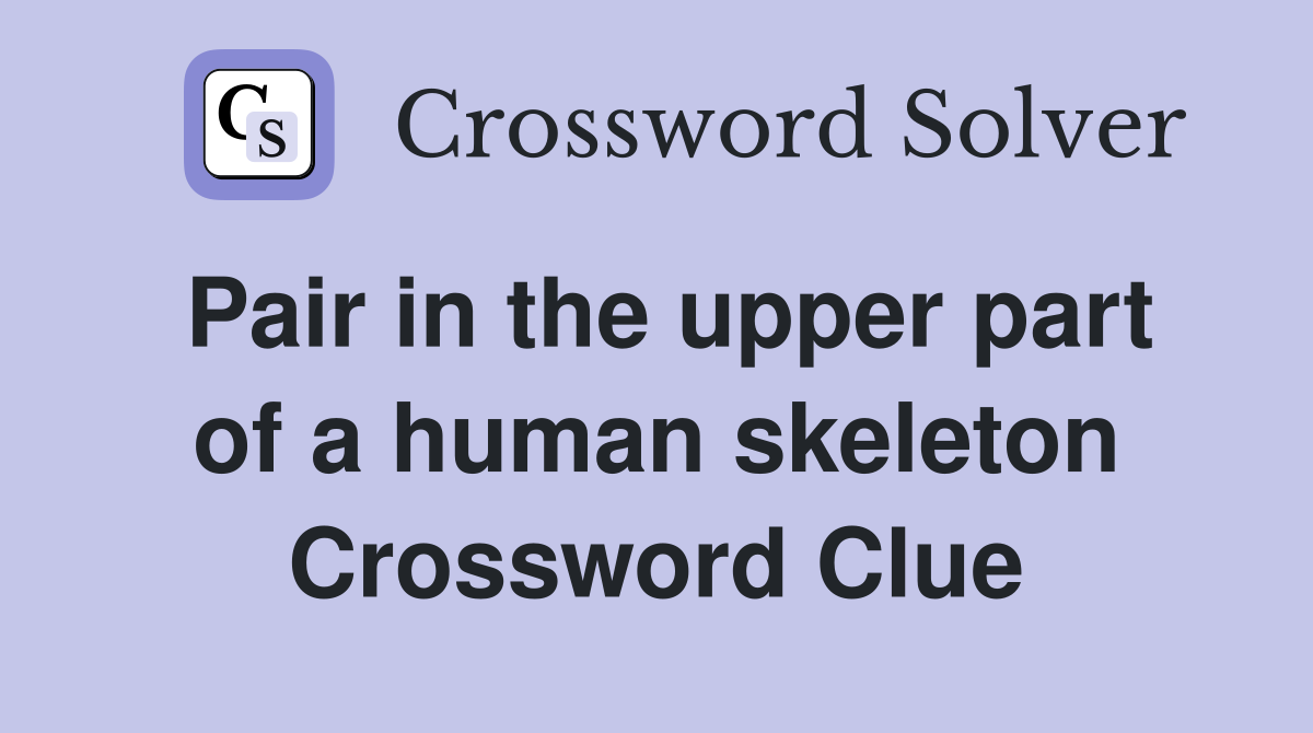 Pair in the upper part of a human skeleton Crossword Clue