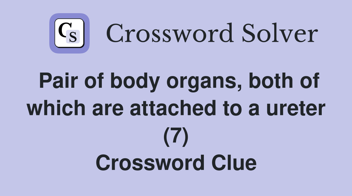 Pair of body organs, both of which are attached to a ureter (7) Crossword Clue