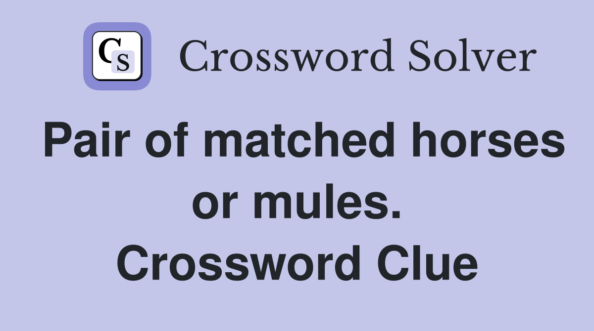 Pair of matched horses or mules. Crossword Clue