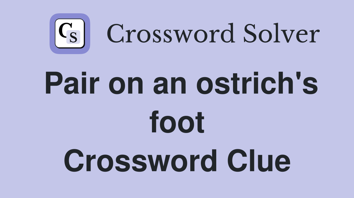 Pair on an ostrich's foot Crossword Clue