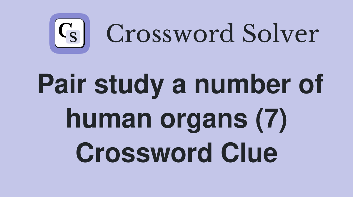 Pair study a number of human organs (7) Crossword Clue