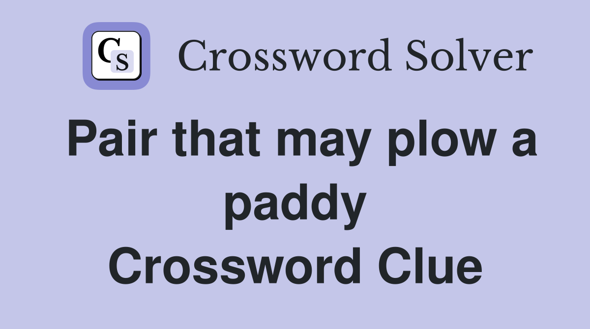 Pair that may plow a paddy Crossword Clue