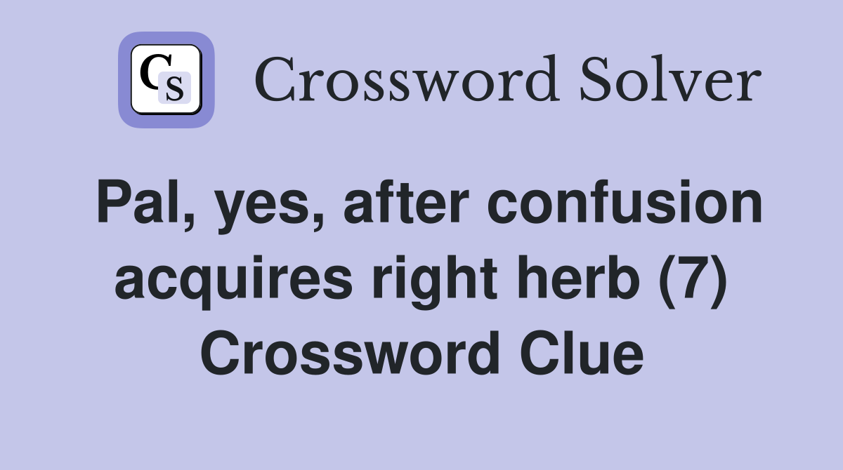 Pal, yes, after confusion acquires right herb (7) Crossword Clue