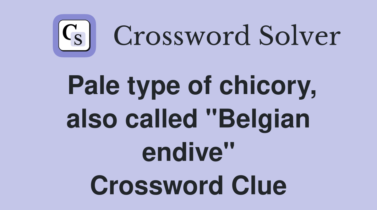 Pale type of chicory, also called "Belgian endive" Crossword Clue