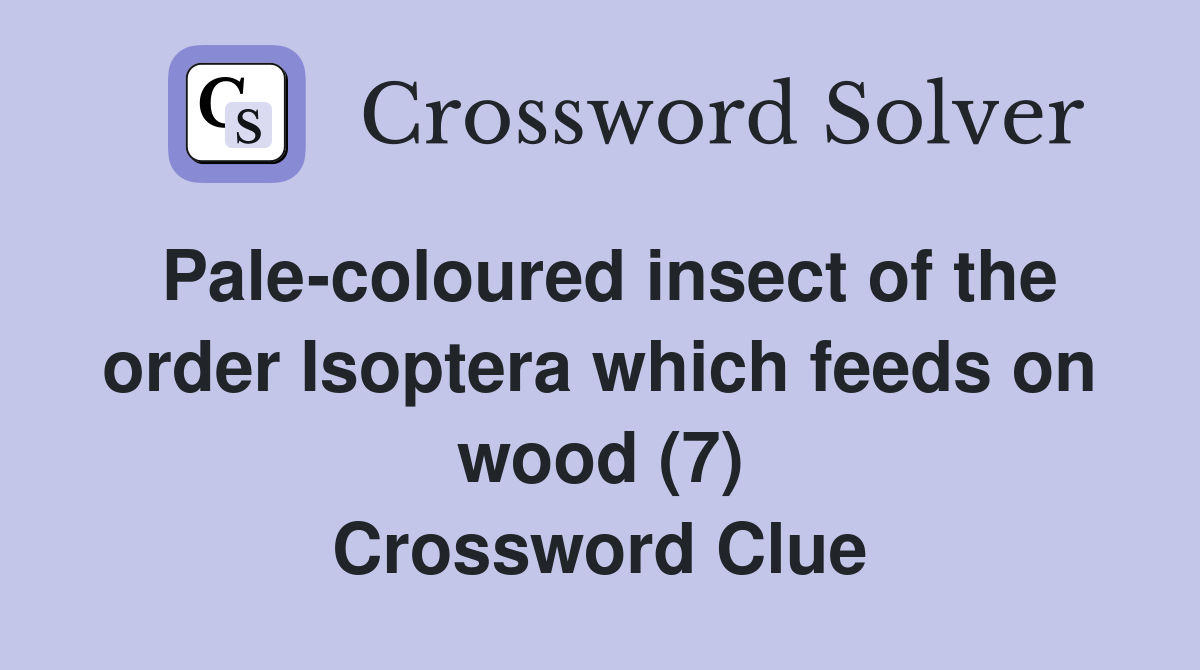 Pale-coloured insect of the order Isoptera which feeds on wood (7) Crossword Clue