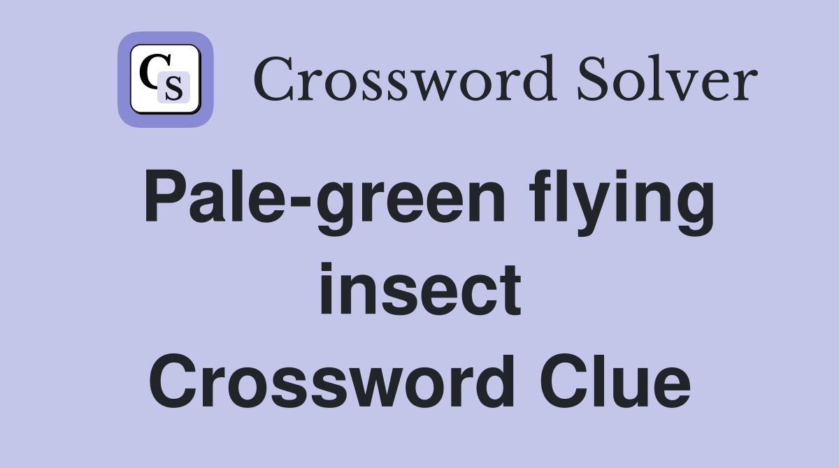 Pale-green flying insect Crossword Clue