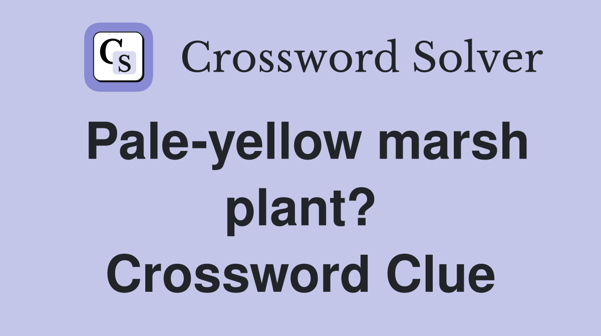 Pale-yellow marsh plant? Crossword Clue