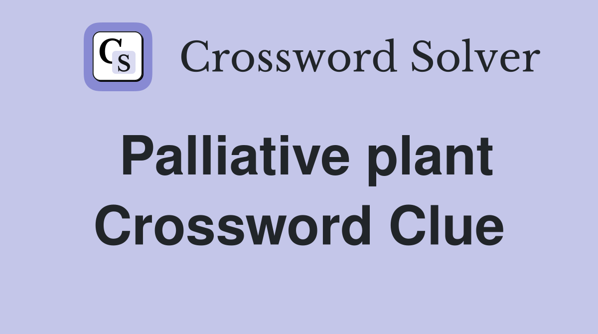 Palliative plant Crossword Clue