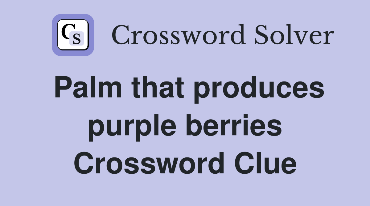 Palm that produces purple berries Crossword Clue