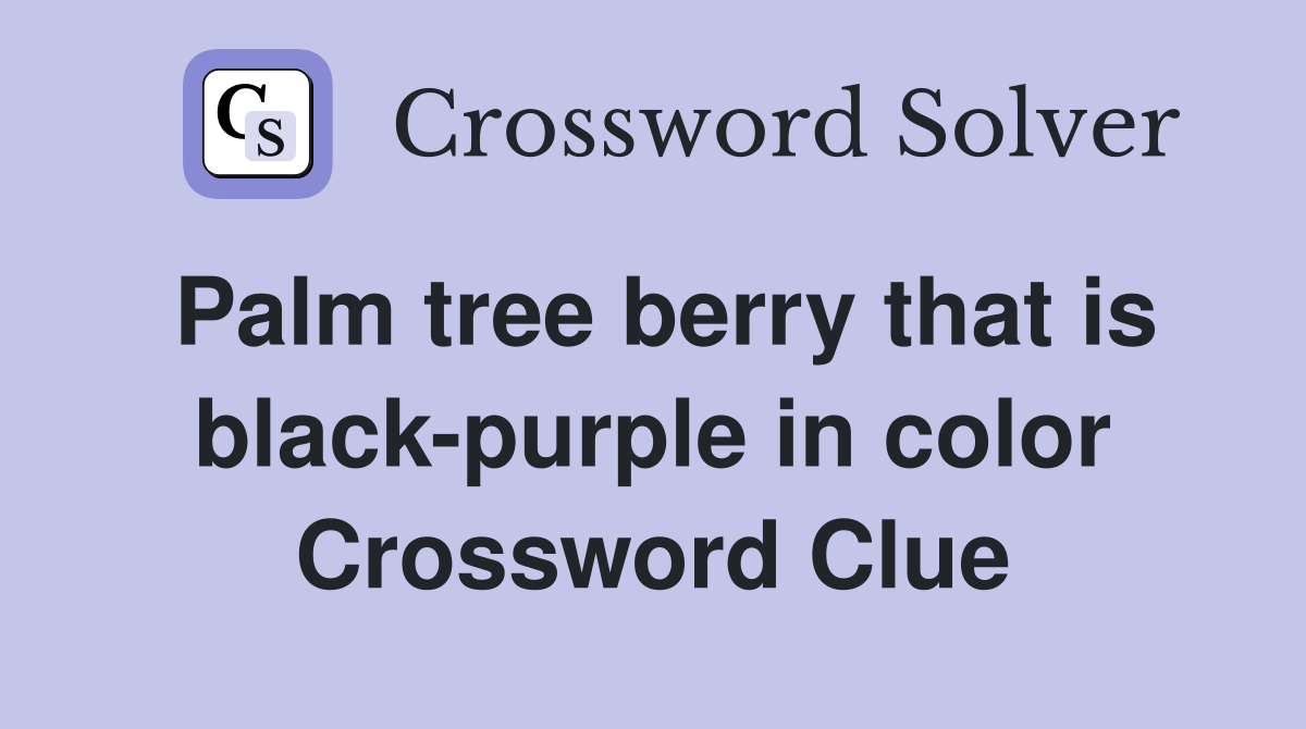 Palm tree berry that is black-purple in color Crossword Clue