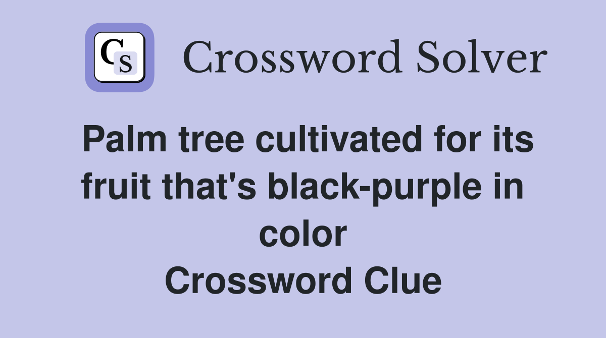 Palm tree cultivated for its fruit that's black-purple in color Crossword Clue