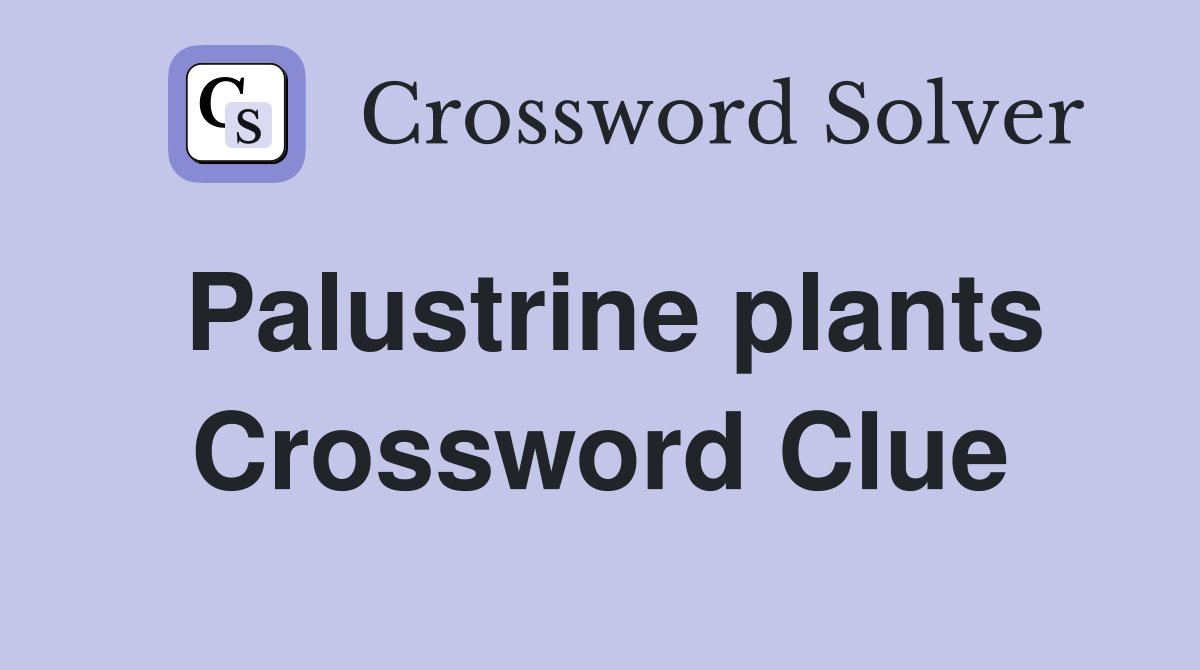 Palustrine plants Crossword Clue