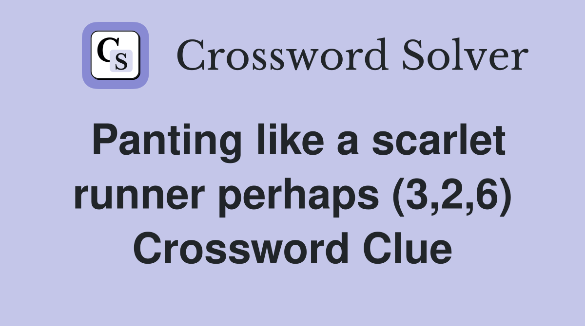 Panting like a scarlet runner perhaps (3,2,6) Crossword Clue
