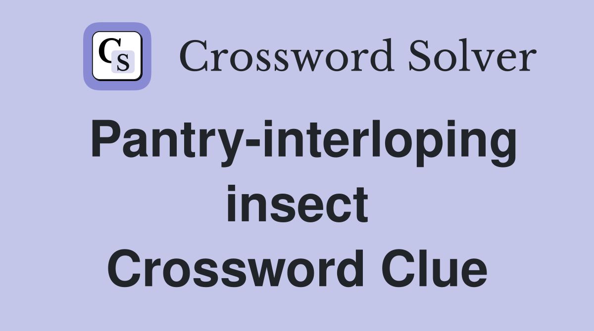 Pantry-interloping insect Crossword Clue