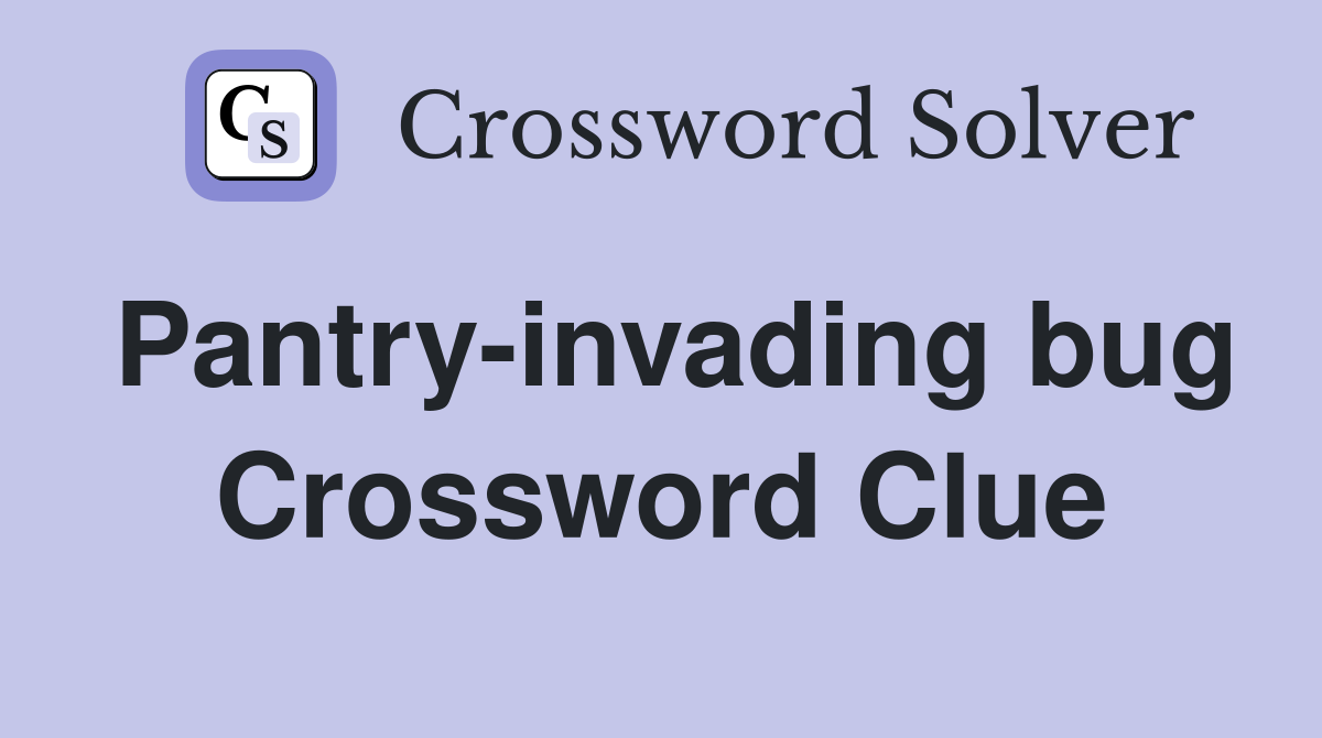 Pantry-invading bug Crossword Clue
