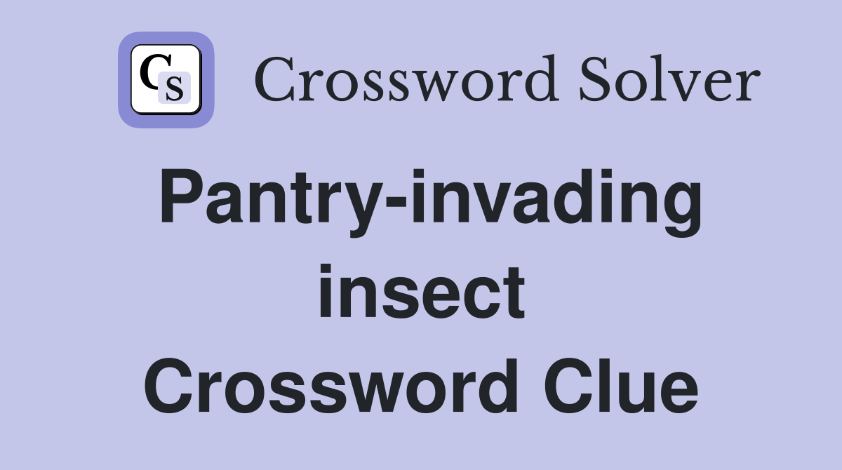 Pantry-invading insect Crossword Clue