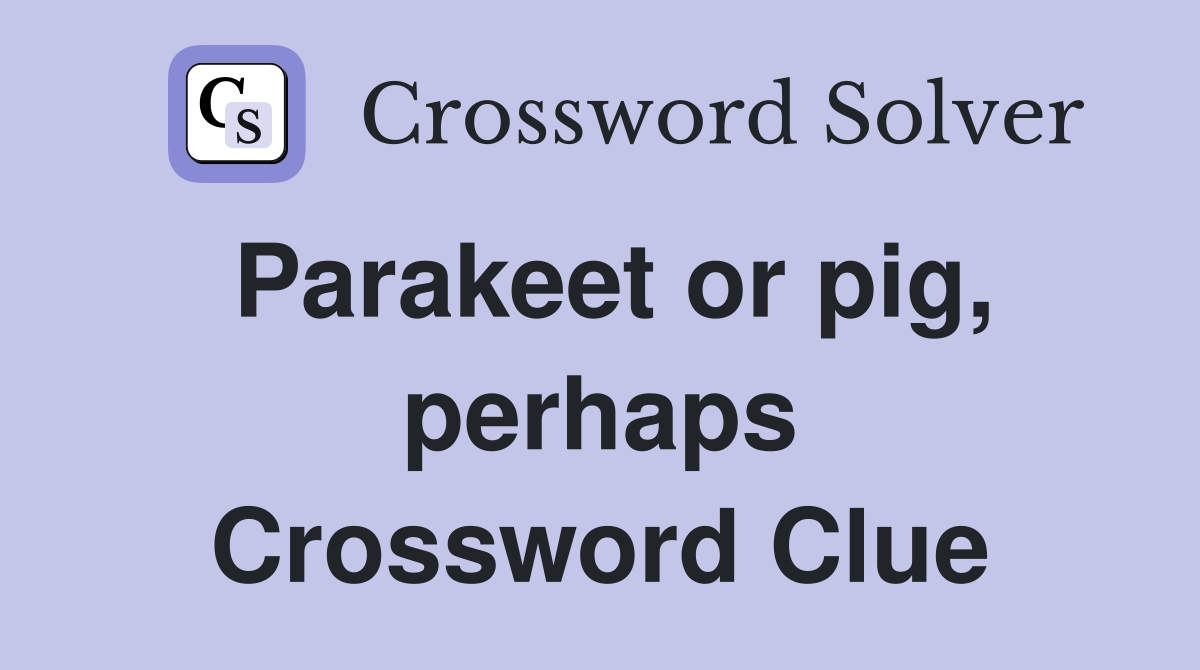 Parakeet or pig, perhaps Crossword Clue