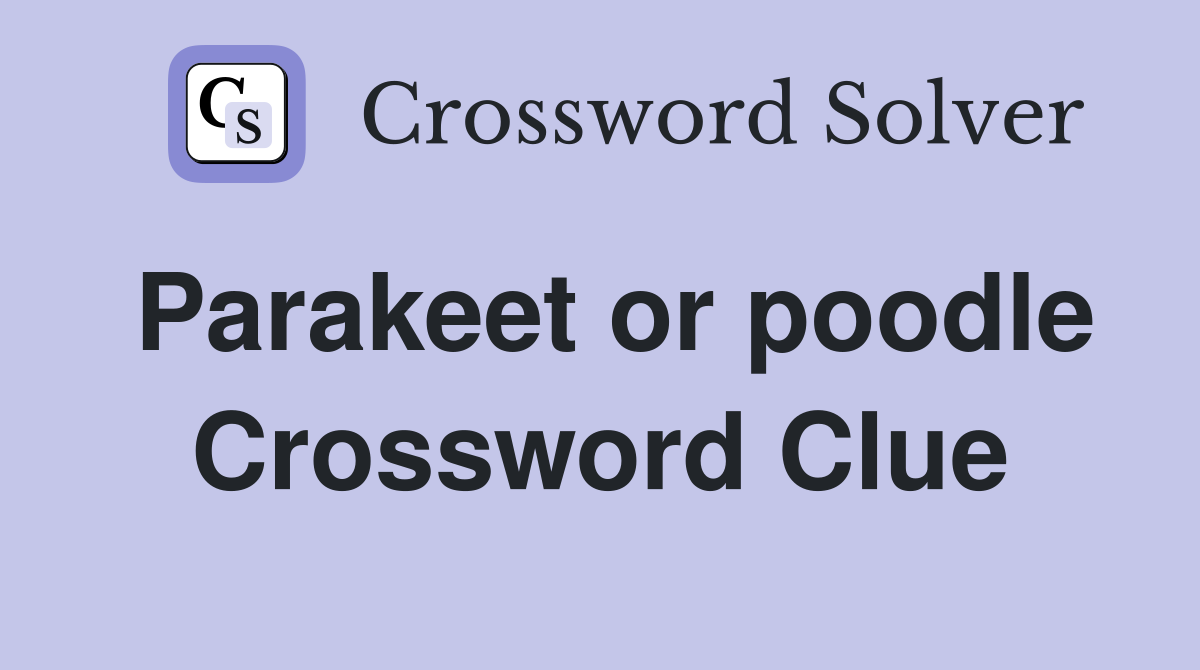 Parakeet or poodle Crossword Clue