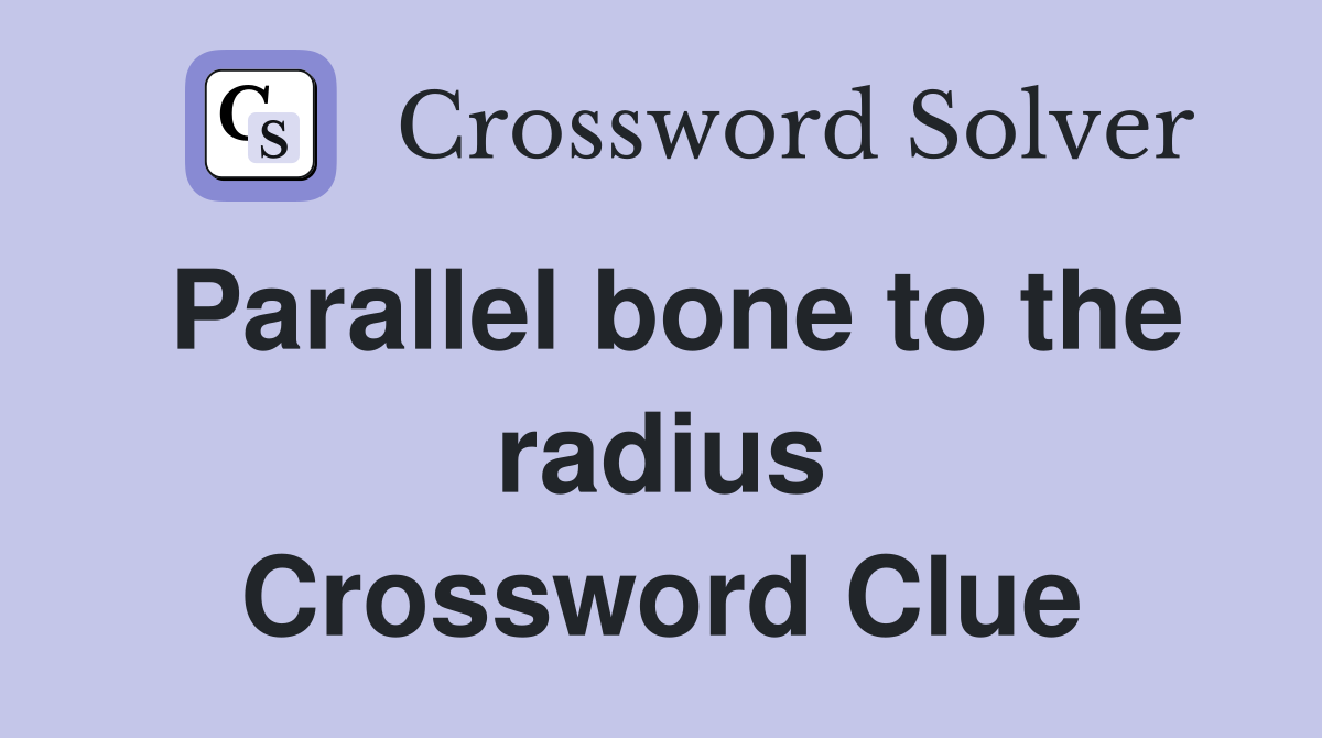 Parallel bone to the radius Crossword Clue