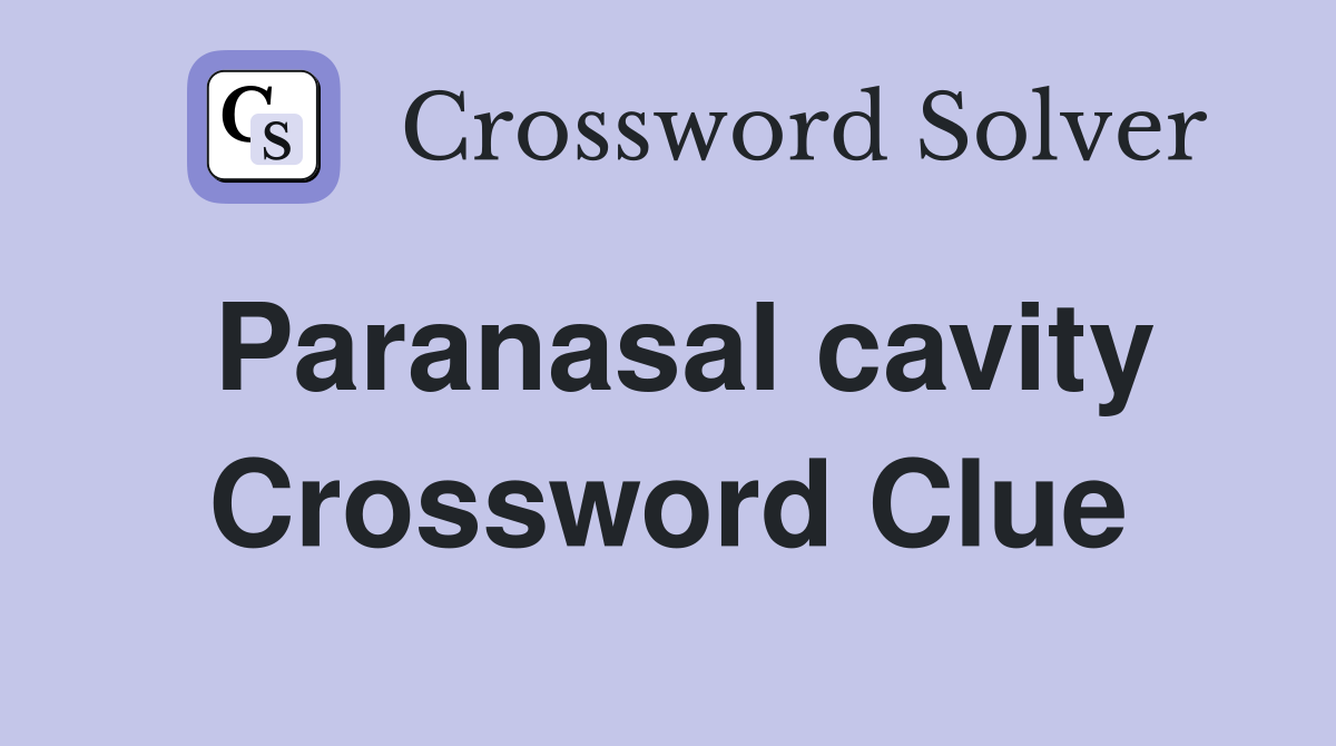 Paranasal cavity Crossword Clue