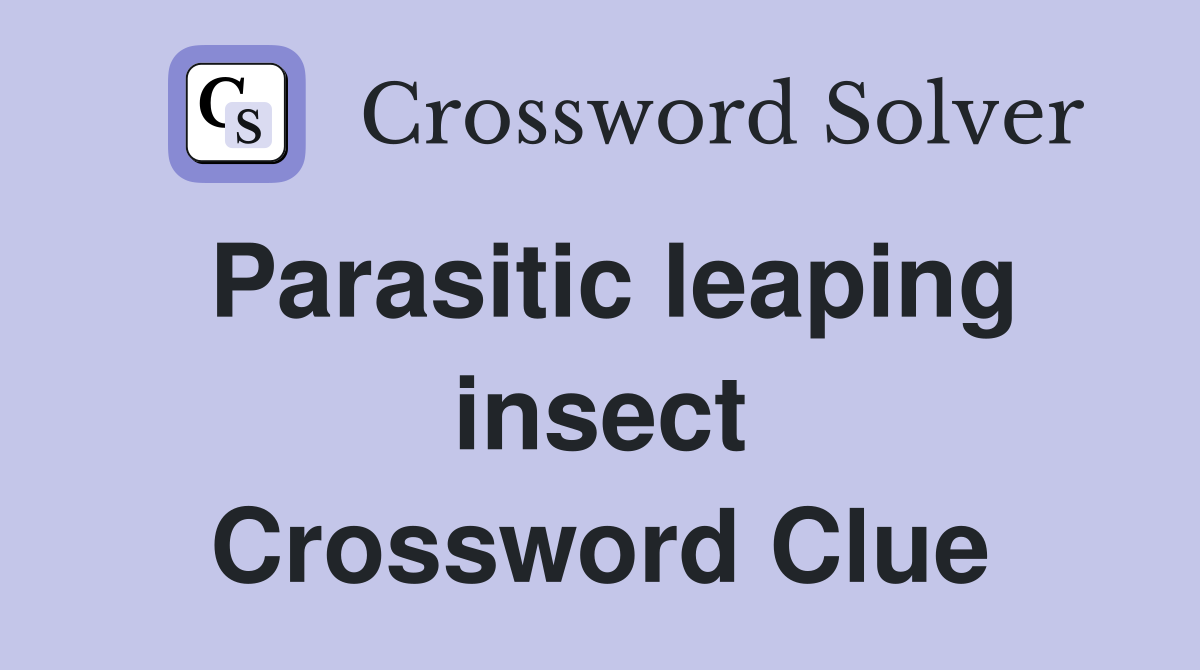 Parasitic leaping insect Crossword Clue