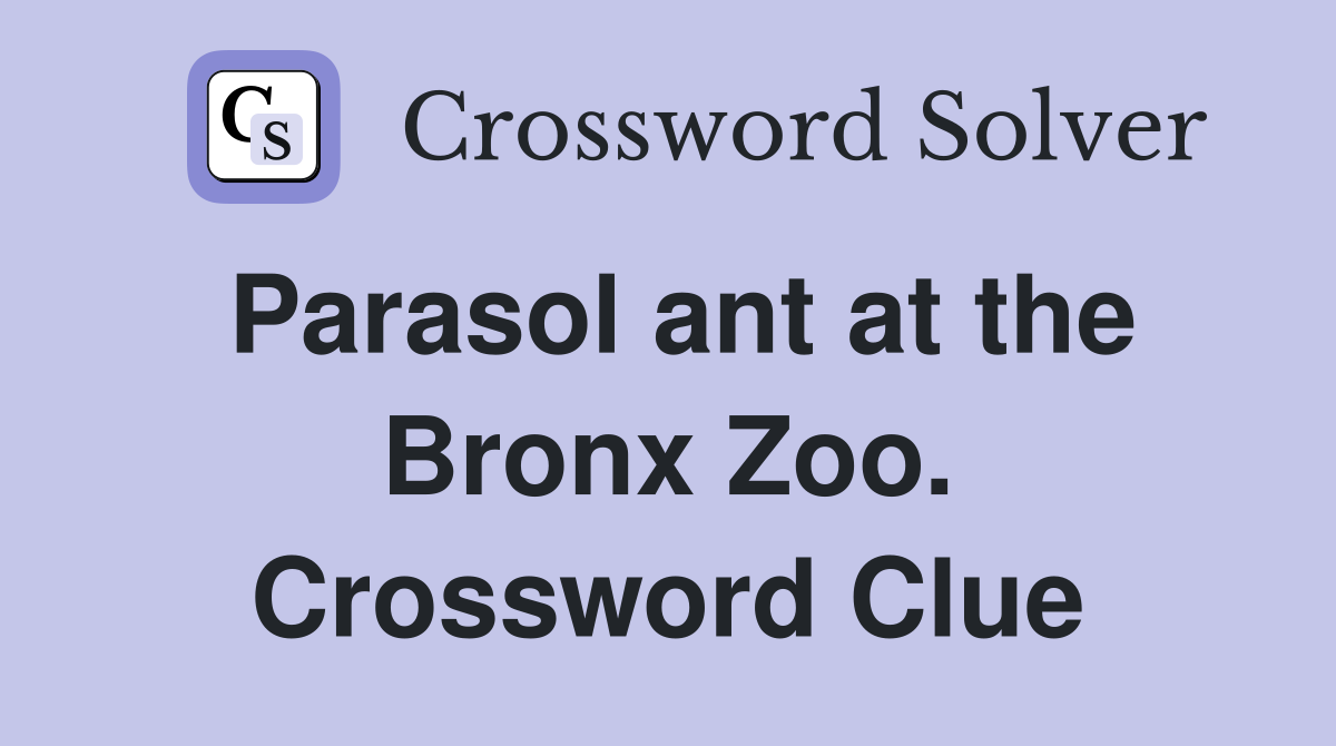 Parasol ant at the Bronx Zoo. Crossword Clue