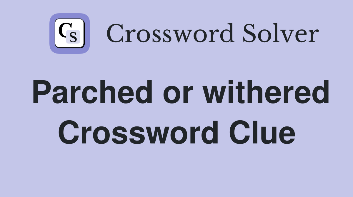 Parched or withered Crossword Clue