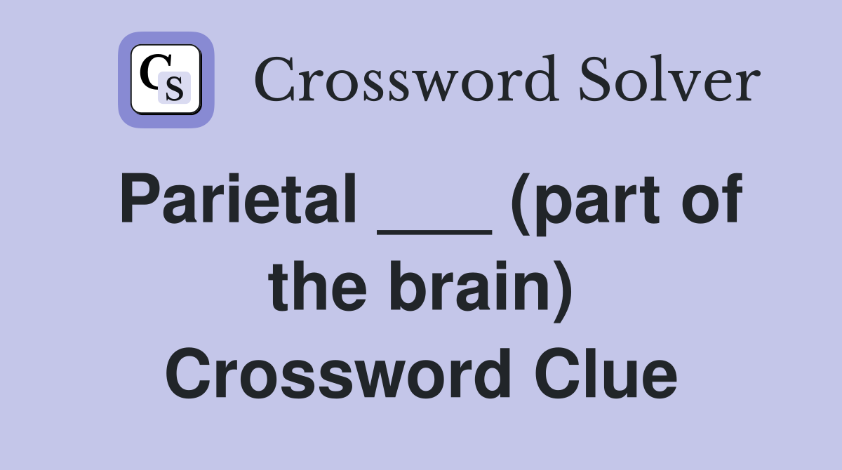 Parietal ___ (part of the brain) Crossword Clue