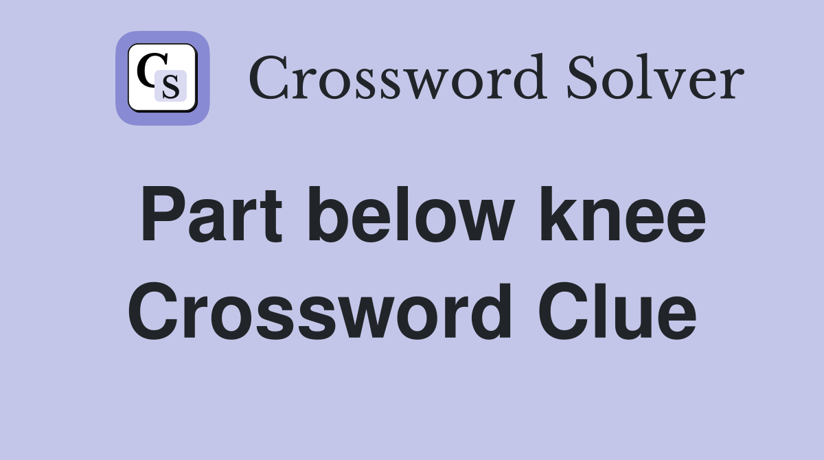 Part below knee Crossword Clue
