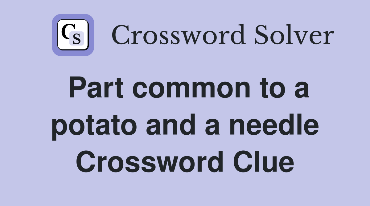 Part common to a potato and a needle Crossword Clue