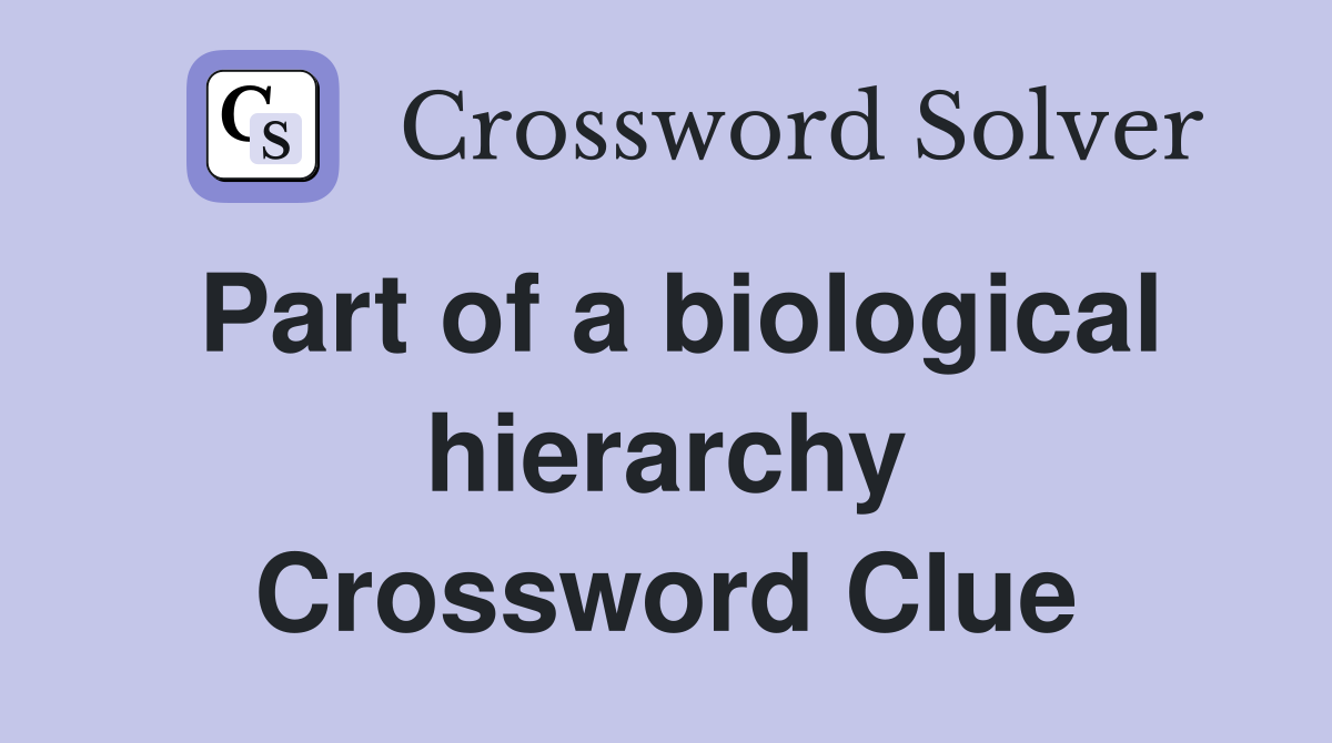 Part of a biological hierarchy Crossword Clue