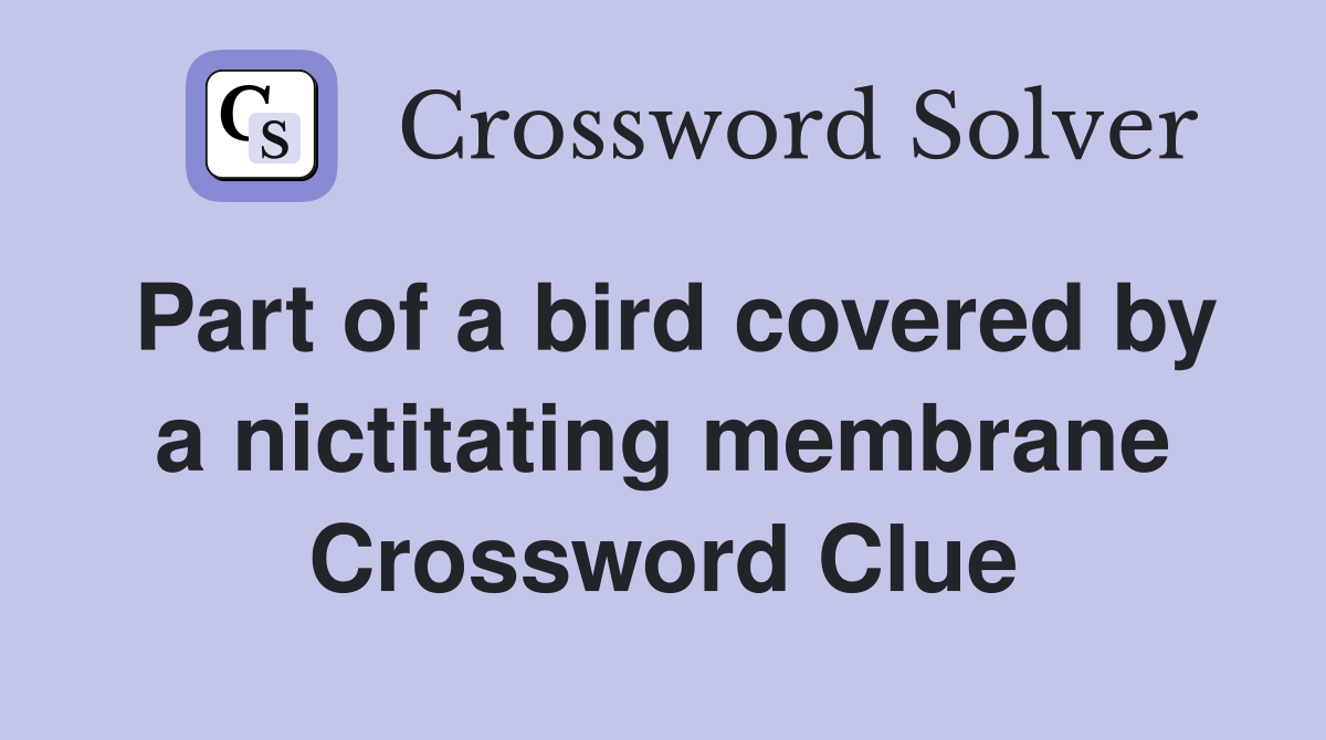 Part of a bird covered by a nictitating membrane Crossword Clue