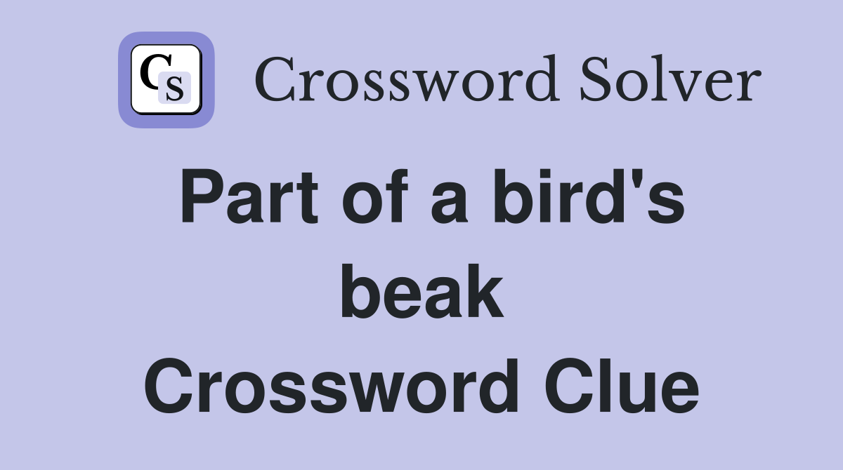 Part of a bird's beak Crossword Clue