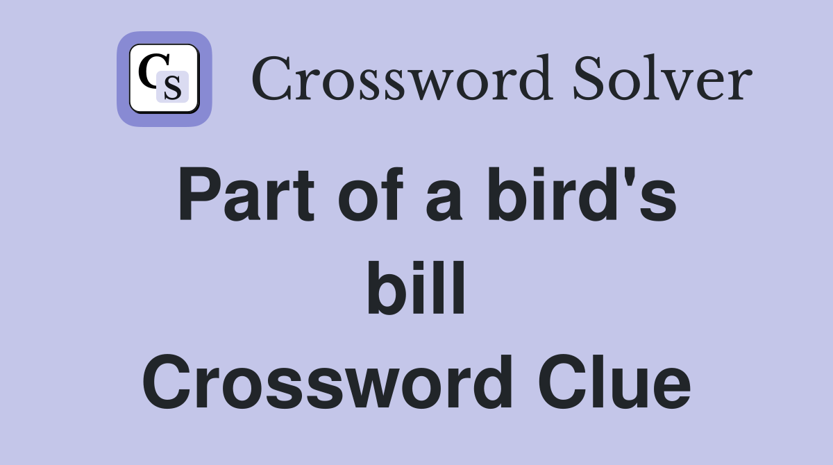 Part of a bird's bill Crossword Clue
