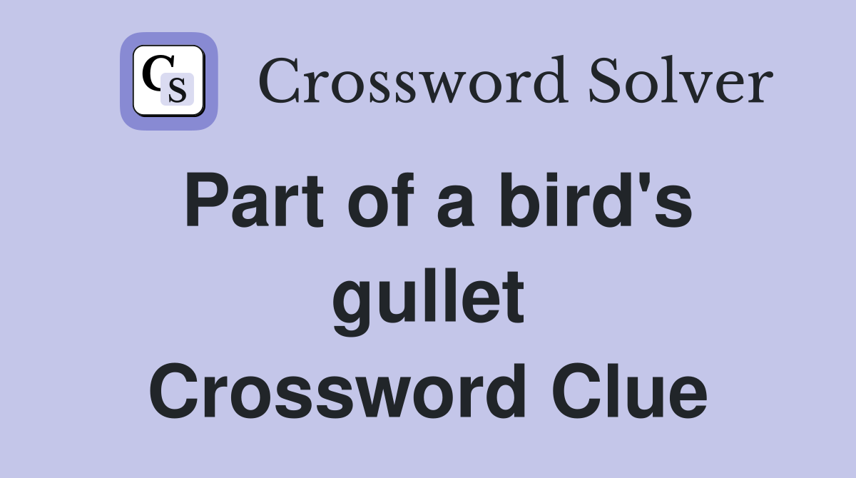 Part of a bird's gullet Crossword Clue