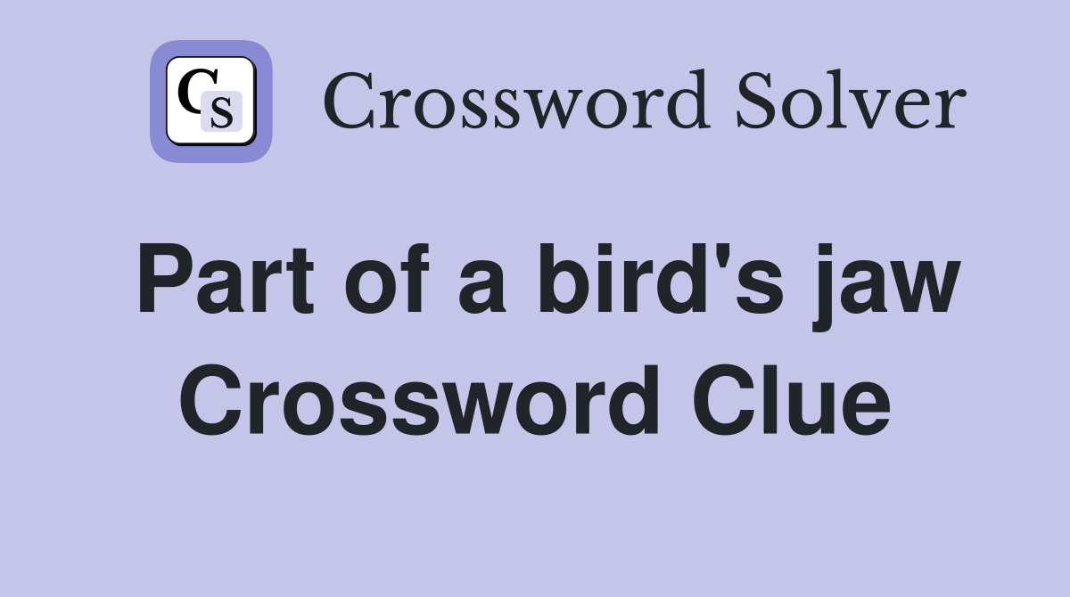 Part of a bird's jaw Crossword Clue