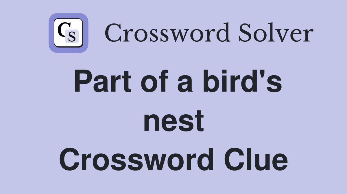 Part of a bird's nest Crossword Clue