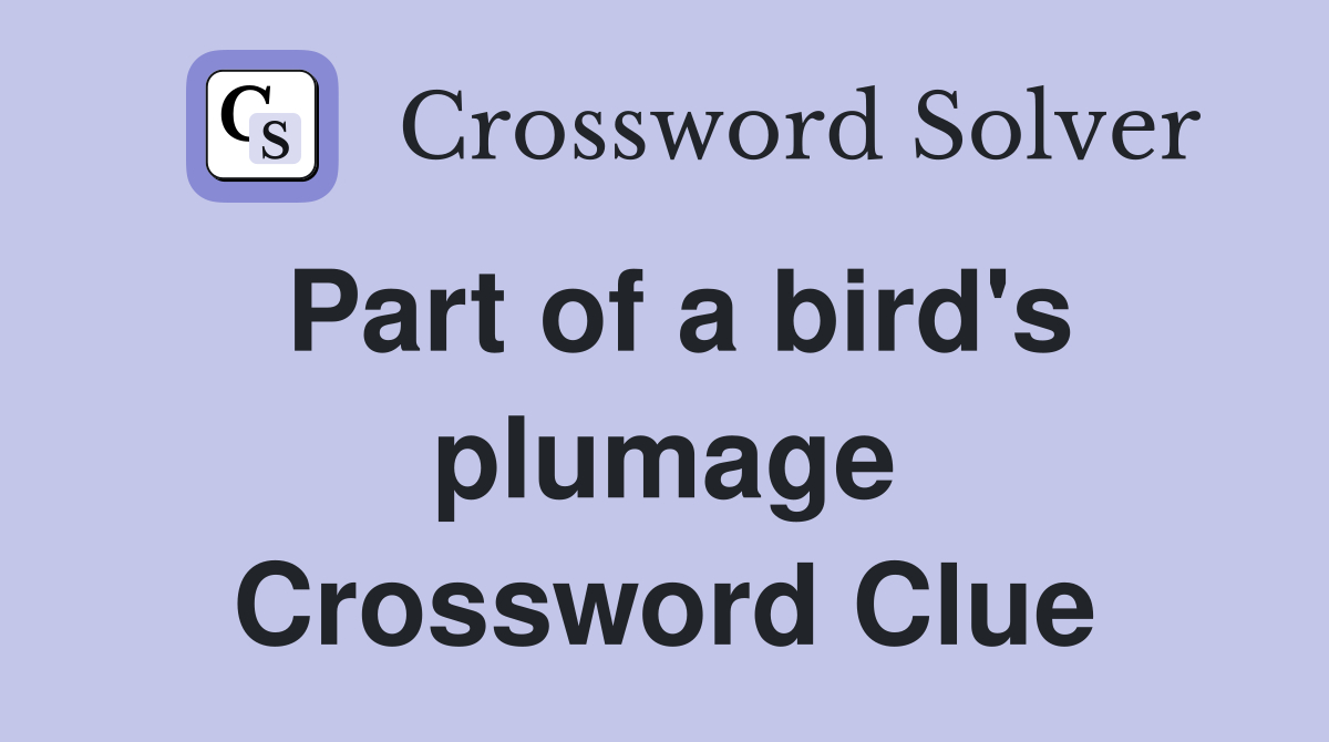 Part of a bird's plumage Crossword Clue