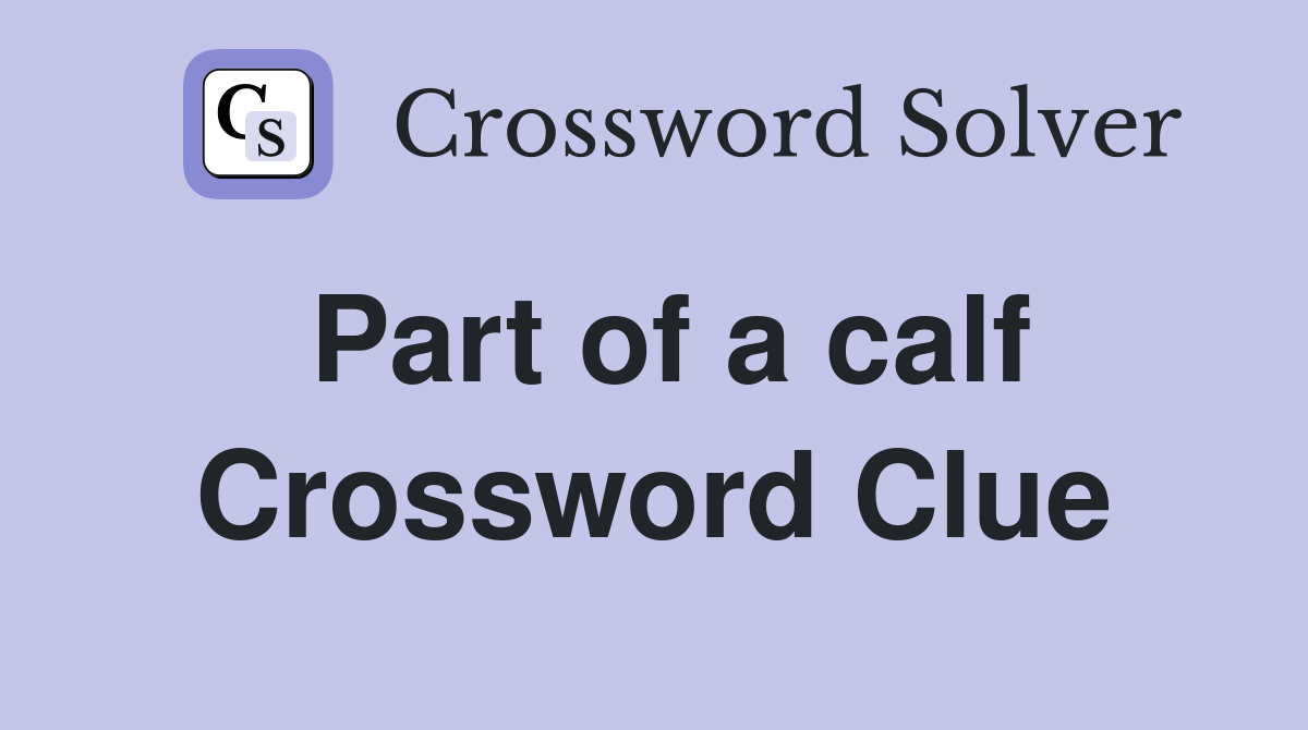 Part of a calf Crossword Clue