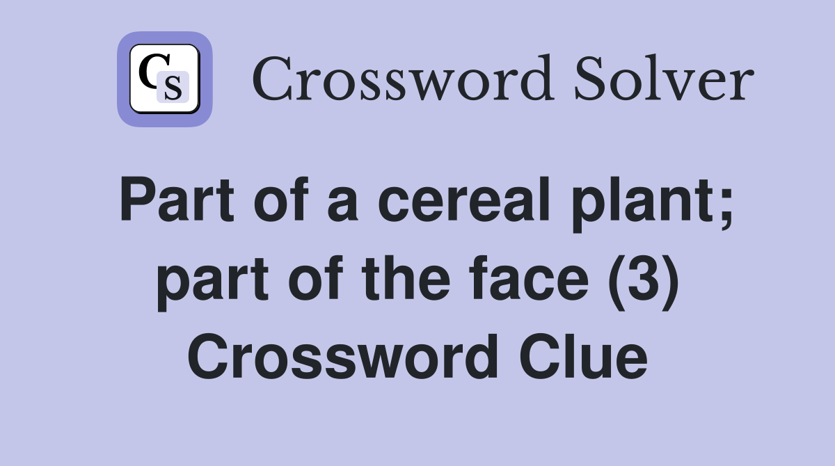 Part of a cereal plant; part of the face (3) Crossword Clue