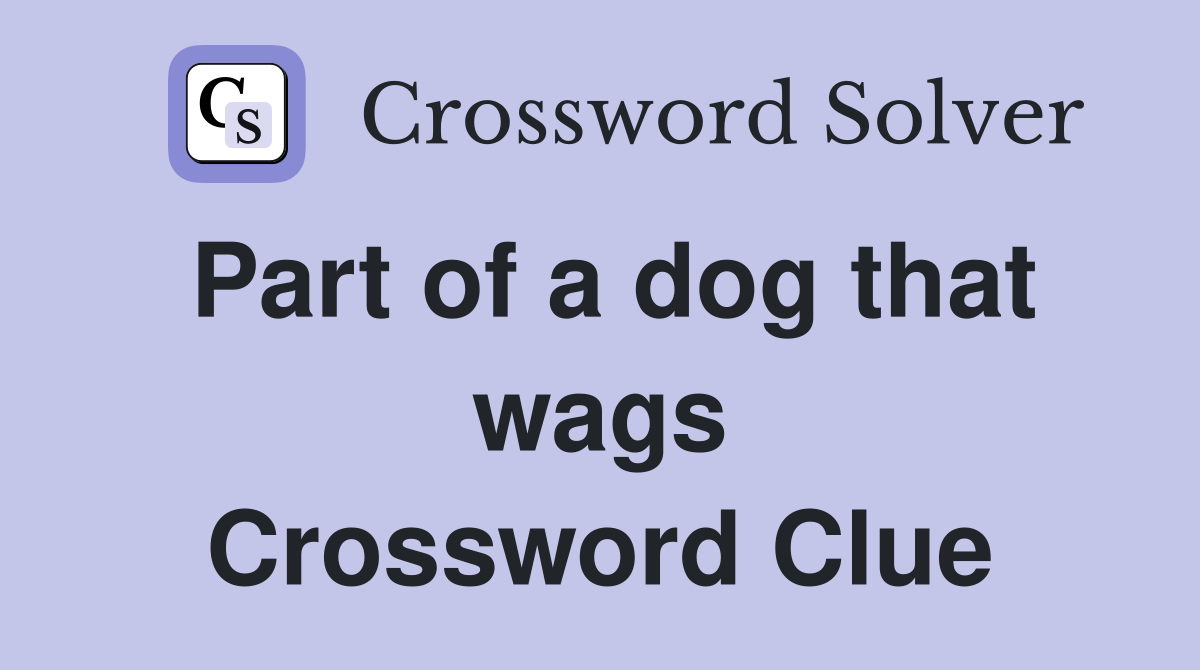 Part of a dog that wags Crossword Clue