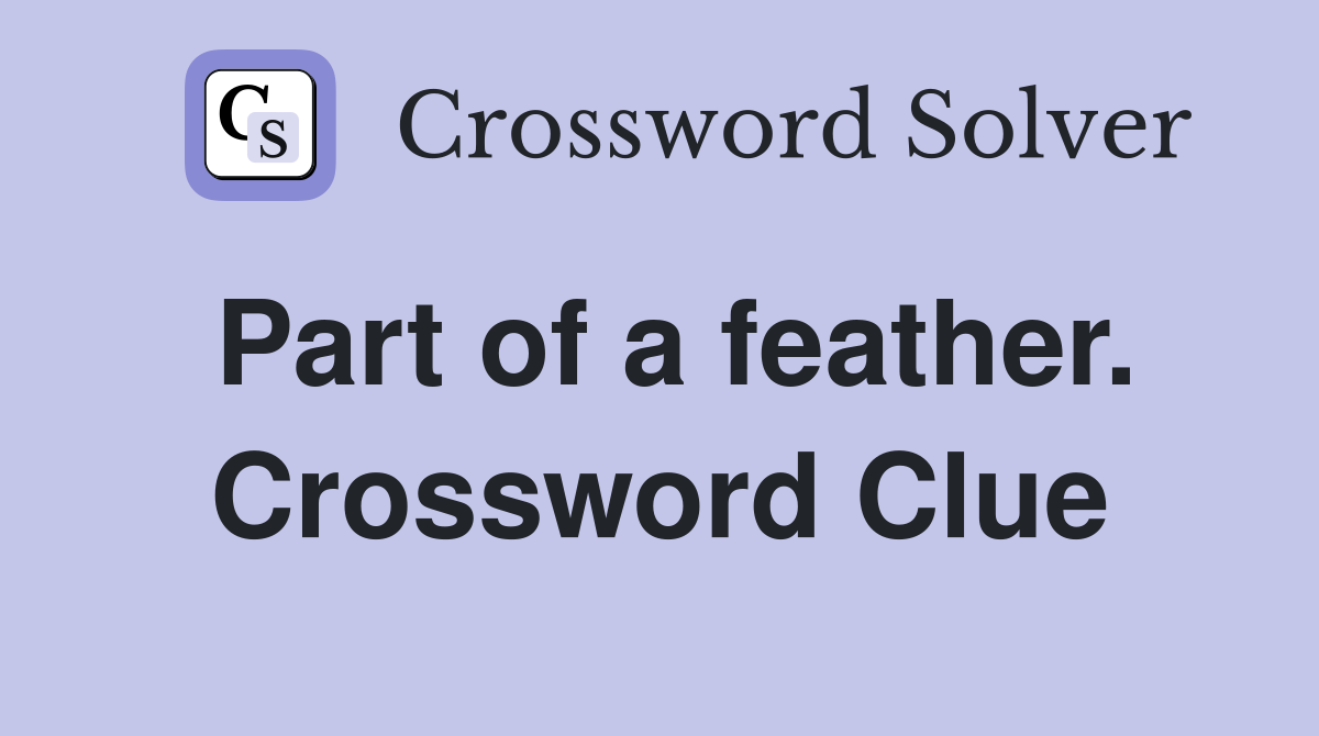 Part of a feather. Crossword Clue