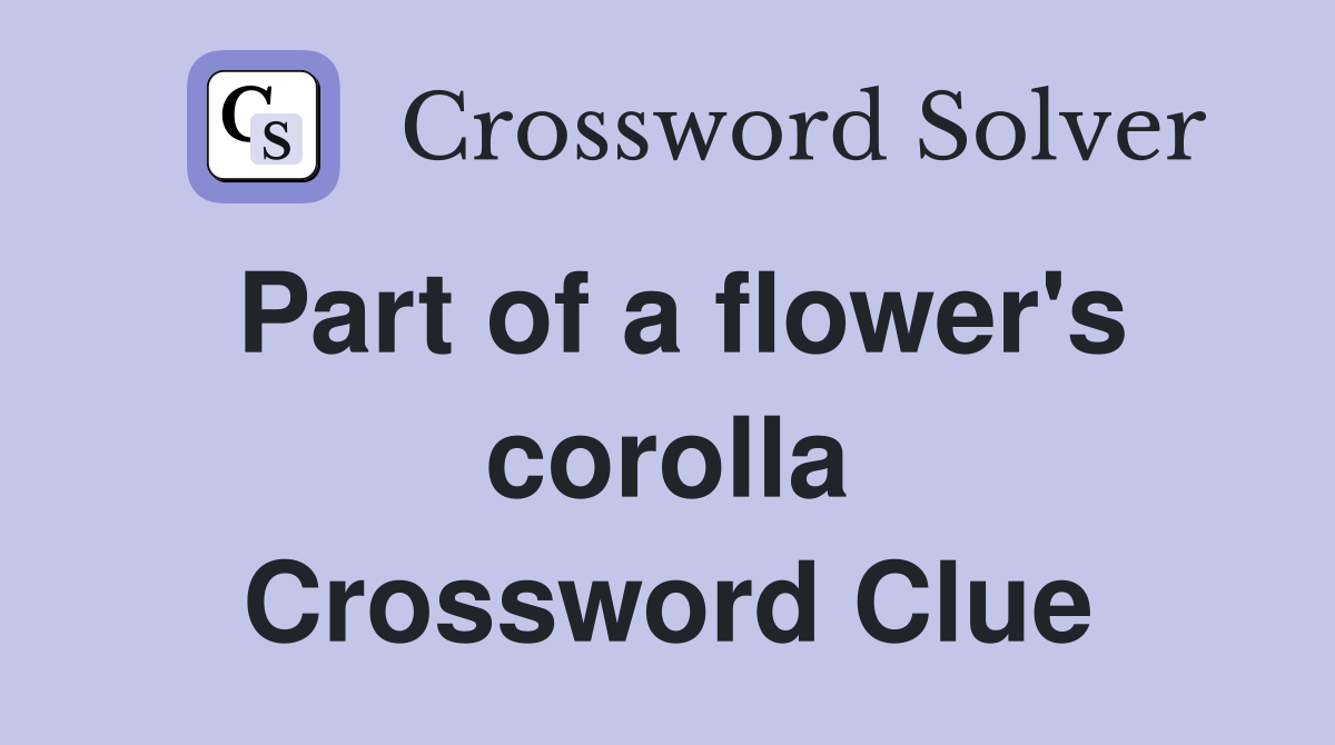 Part of a flower's corolla Crossword Clue