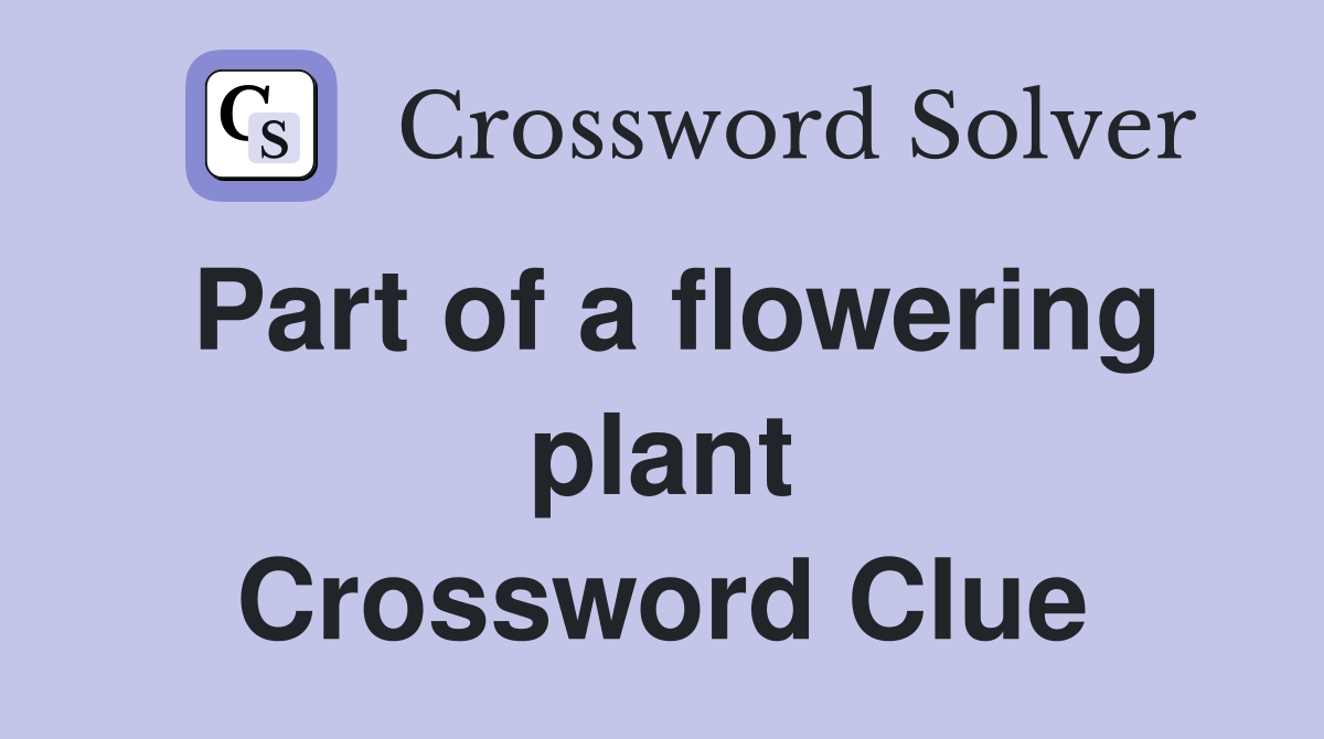 Part of a flowering plant Crossword Clue