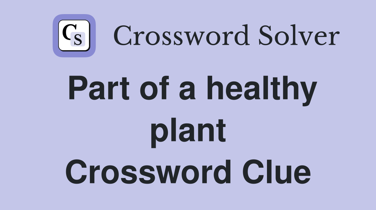 Part of a healthy plant Crossword Clue