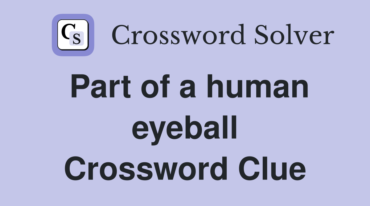 Part of a human eyeball Crossword Clue