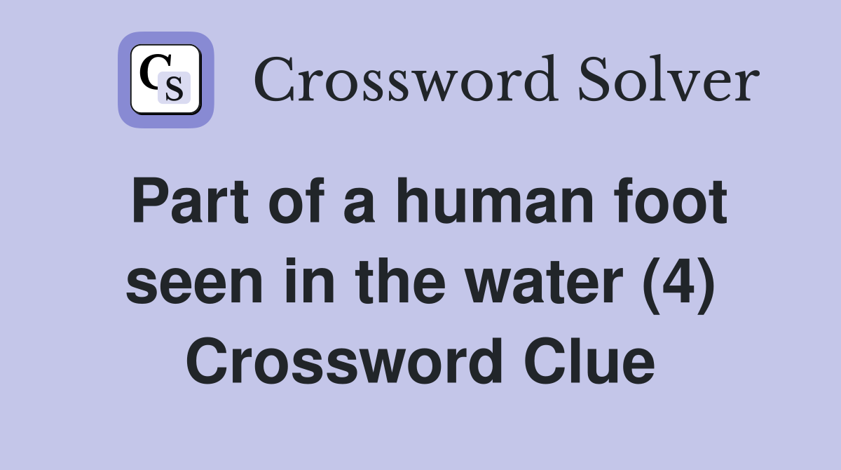 Part of a human foot seen in the water (4) Crossword Clue
