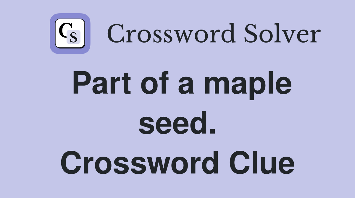 Part of a maple seed. Crossword Clue