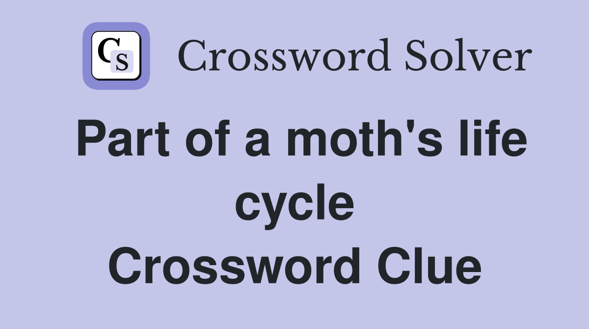 Part of a moth's life cycle Crossword Clue