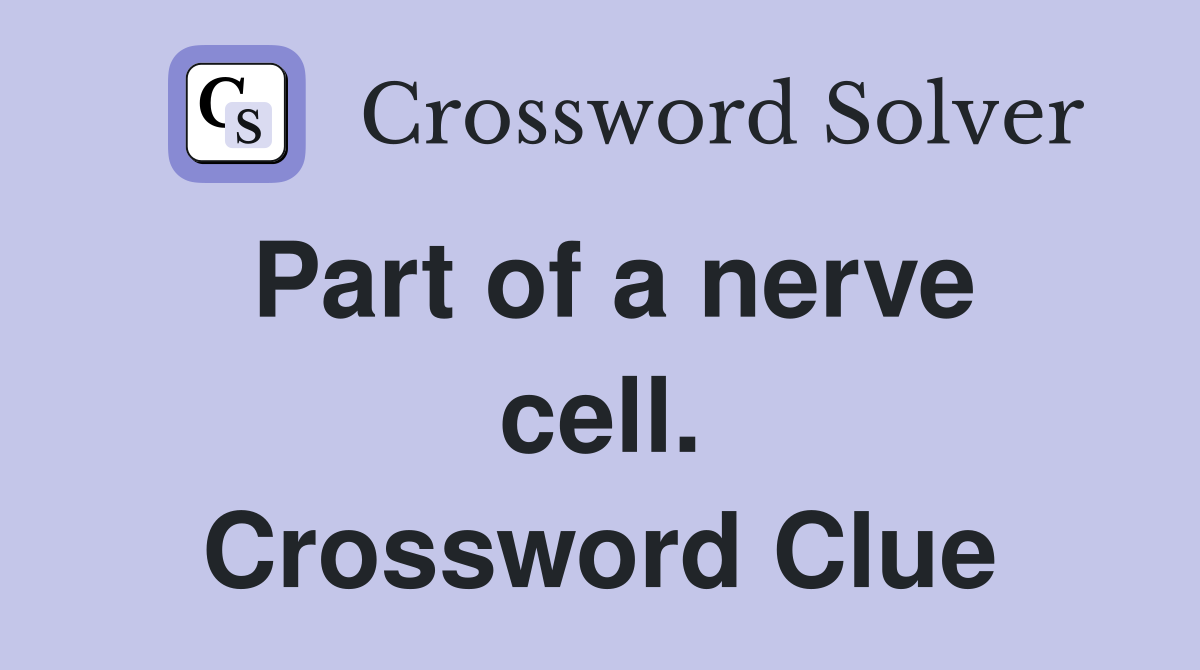 Part of a nerve cell. Crossword Clue